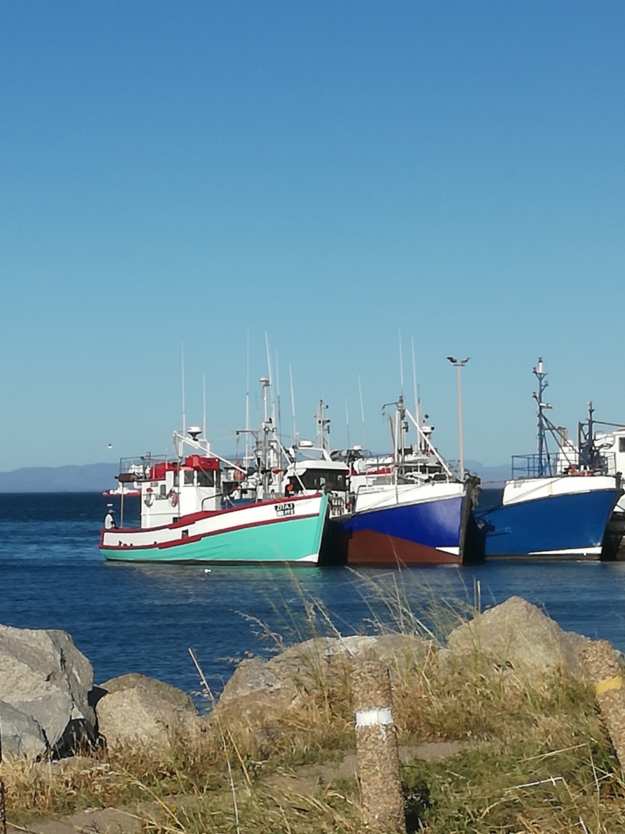 0 Bedroom Property for Sale in Steenbergs Cove Western Cape